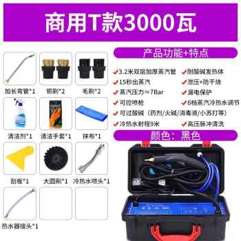 现货高端c厂销新蒸气清洗机地暖脉冲洗小型管道蒸汽洗车机清洁设