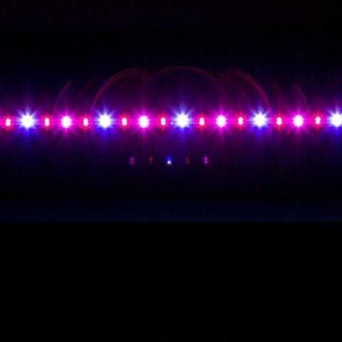 超水草装饰鱼缸配件假自动u免灯光B换水带白办公桌盖防水山石欧洲