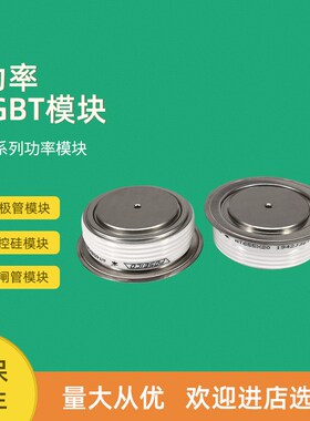 平板可控硅晶闸管56DN02 56DN04 56DN06 65DN02 65DN06