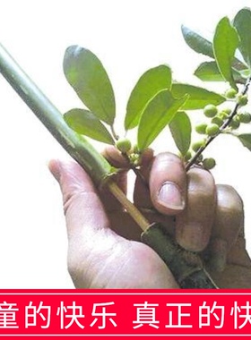 竹管枪8090怀旧传统亲子儿童竹子做的手工玩P具竹噼啪打柏桐竹子