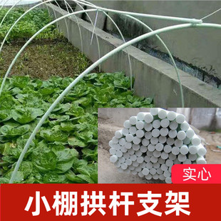 小棚拱杆植物遮阳网支架保温棚花艺菜棚玻璃纤维杆拱形Z帐篷棚架