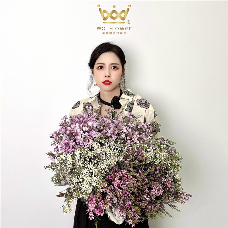 澳洲腊梅花 杰拉尔顿腊梅 原装进口 小众稀有 室内水养花卉 装饰