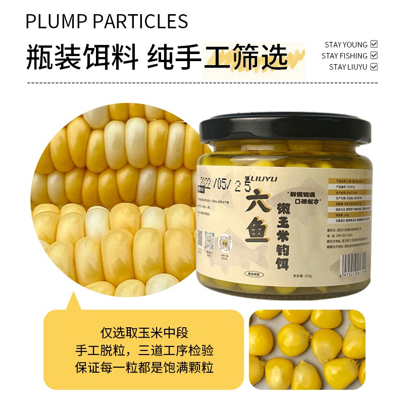 现货六鱼嫩玉米饵料窝料大物鲤草鱼翘嘴钓饵打窝钓鱼专用生鲜甜玉