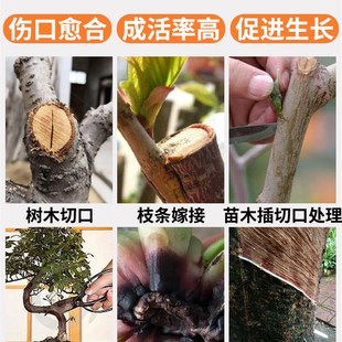 植物嫁接伤口愈合剂果树生根愈伤神器修剪盆景促活液 99.%促活