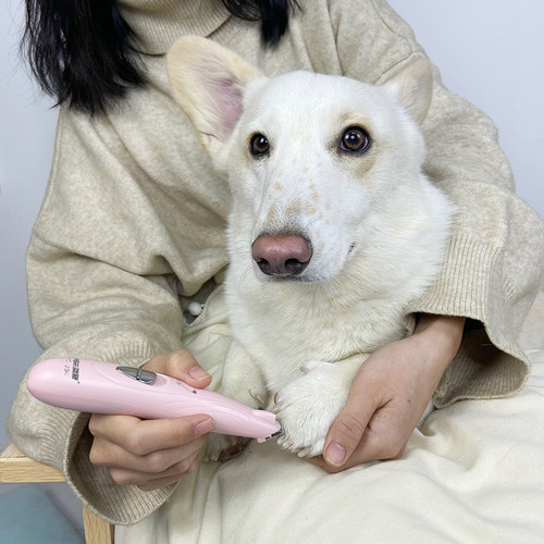 新品宠物指甲剪狗狗剃脚毛猫指甲指甲磨甲器狗狗用品