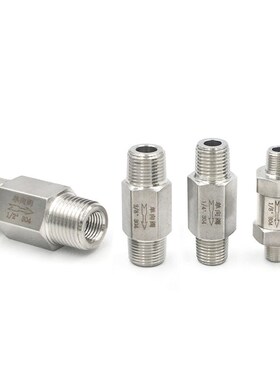 Male Male BSP Threaded SS304 Stainless Steel Check Valves G