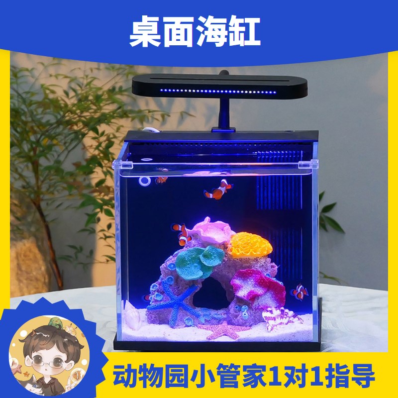 桌面海缸小丑鱼海星缸鱼缸背滤