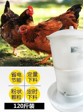喂鸡神器家用喂食l机家禽自动投放喂食器鸡舍投食投料机定时喂料