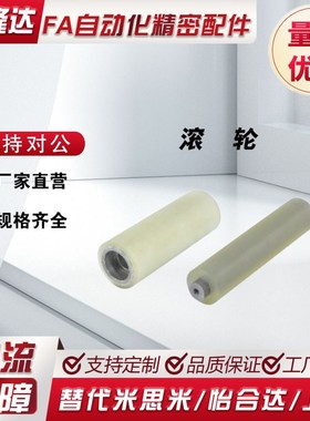 QAL02-D30-T3-d12-L100滚轮Qap03/D40/D50/D60/D80/L50/150/200