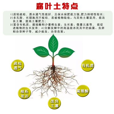 君子兰专用土腐叶土盆栽兰花营养土东北橡树林发酵腐殖腐叶培养土