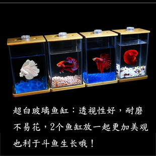 创意超白玻璃斗鱼缸泰p国斗鱼桌面微景生态水族箱小型热带观赏鱼