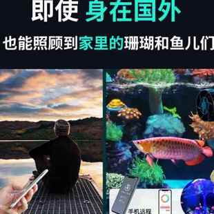 定制新款 鱼缸造浪泵海缸水族箱智能磁吸冲浪泵增氧吹粪V器造流泵