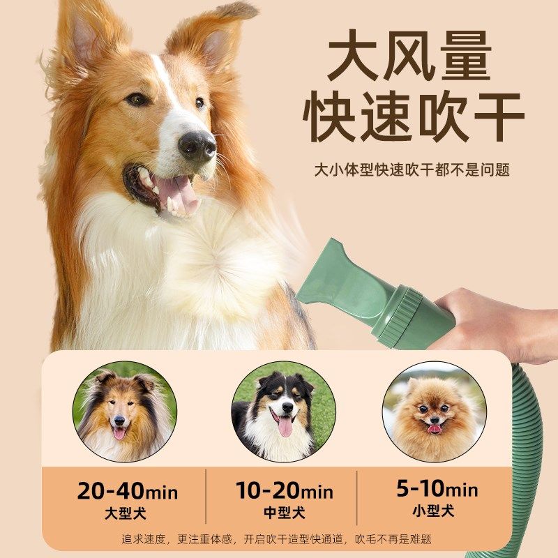 简斯宠物吹水机 狗狗吹风机大功率低音大型犬金毛洗澡吹毛烘干机