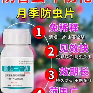 月季 防虫颗粒养花病虫害常用杀虫药花盆景园艺防虫片剂植物小白药