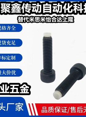 杯头内 CBPP5-15/20/25/30 六角止动螺丝 螺栓型聚缩醛止动螺栓