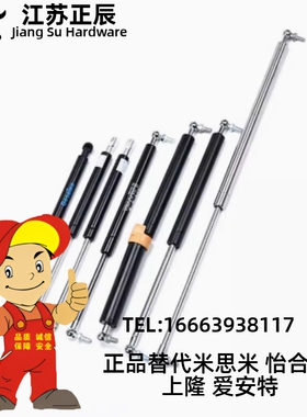 替米思米氮气气弹簧 FGSS22050 22080 22090 22100 22120A B C D