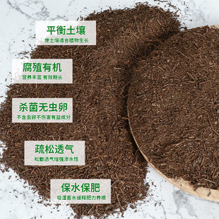 兰花专用土腐熟干松针土腐殖土君子兰专用土腐叶土绿萝营养土透气