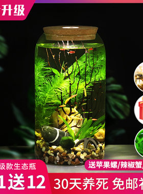 高脚杯生态瓶鱼免换水打理微景观科学用diy作业办公桌面造景鱼缸