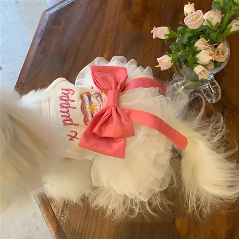 狗狗衣服夏季泰迪比熊博美小型犬宠物公主连衣裙子春夏装薄款新潮