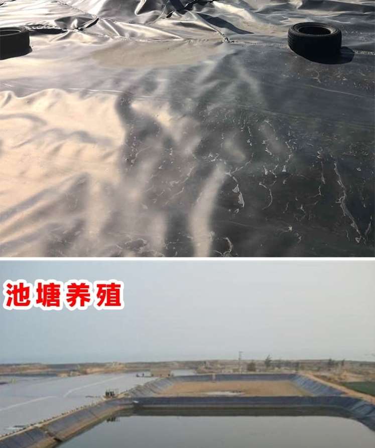 薄膜水池防渗膜水塘鱼塘膜土工膜膜厚养殖底加铺池T底蟹塘地膜蛙.