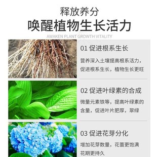花肥料缓释肥颗粒通用促花养花家用盆栽绿植花卉蔬菜园艺复合肥