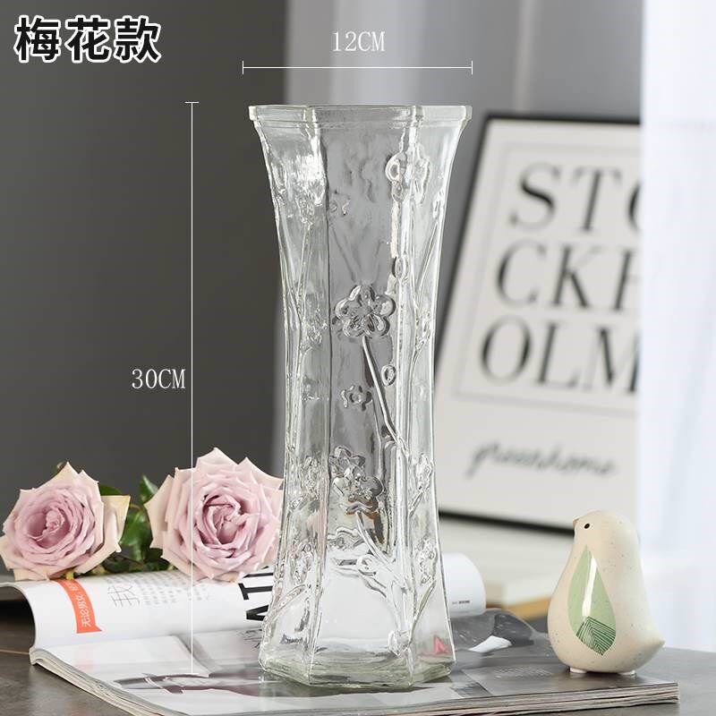 小众高货【两件套】特大号玻璃花瓶透明水养富贵竹花瓶客厅家用插