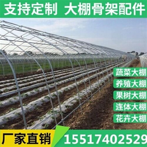 工厂销栋大棚钢管骨架热浸镀w锌定制全套B小型温室种菜连身养殖蔬