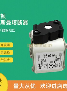 全新快速熔断器保险170M4489 170M4490 170M4491 170M4492