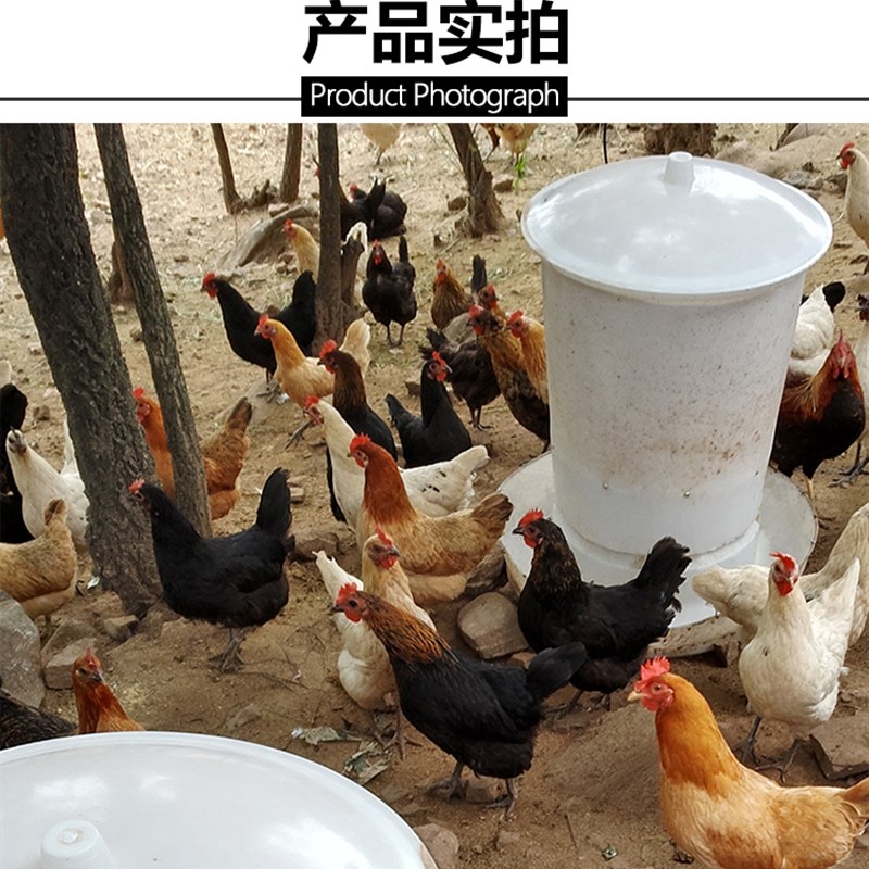 2021新一代鸡鸭全自动喂食器z投料机喂鸡神器方便小鸡投饵机下料