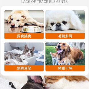 素狗狗猫咪异食癖厌食金毛泰迪犬用防狗吃屎宠物营养 微量元