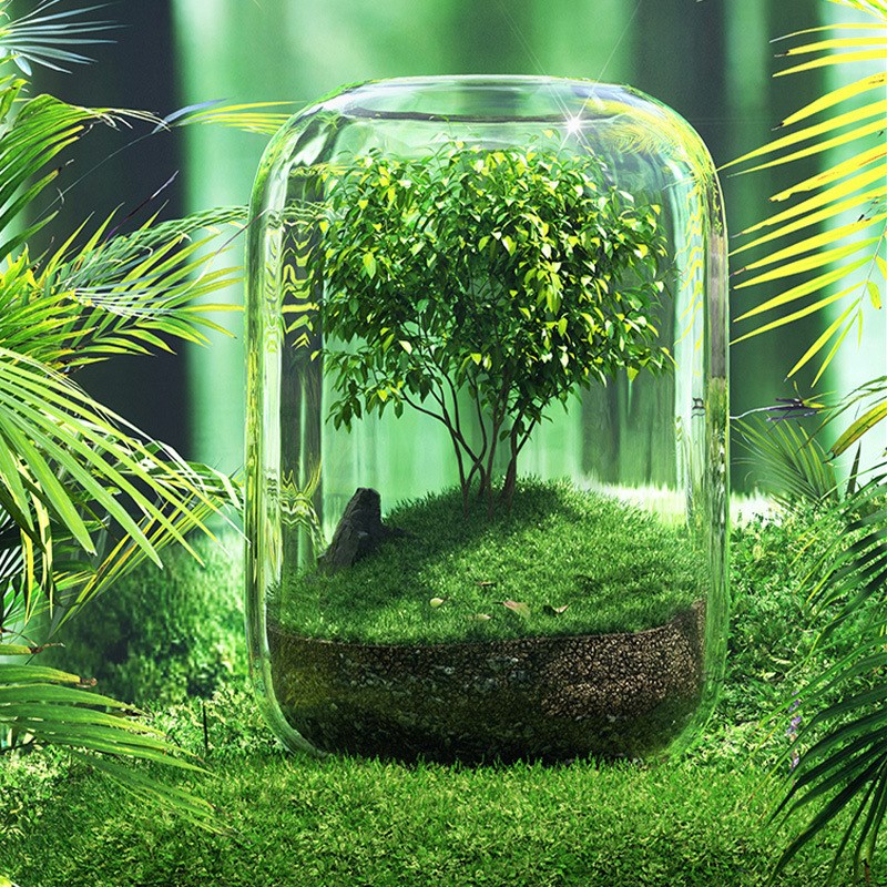 生命之树生d态瓶自循环办公室桌面绿植微景观盆栽青苔造景创意送