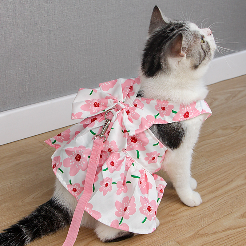 猫咪牵引绳宠物衣服背心裙防挣脱胸背带带外出遛狗溜猫专用遛猫绳