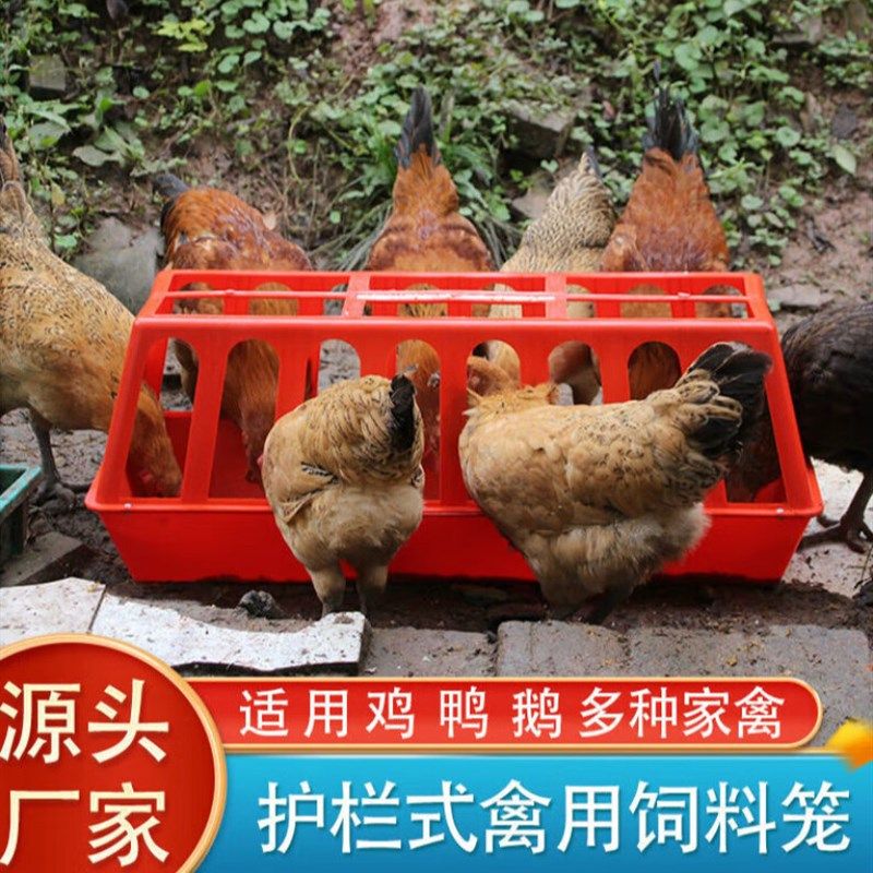 养鸡喂鸡食槽长方形防撒鸡鸭鹅食槽熟胶养殖塑料喂食器盆防扒料|,畜牧/养殖物资,饲料投料机,淘宝优惠券,粉丝福利购,淘宝优惠卷
