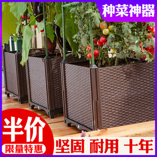 家庭阳台种菜神器蔬长专用种植箱塑料菜顶楼方形花盆清仓2021新款