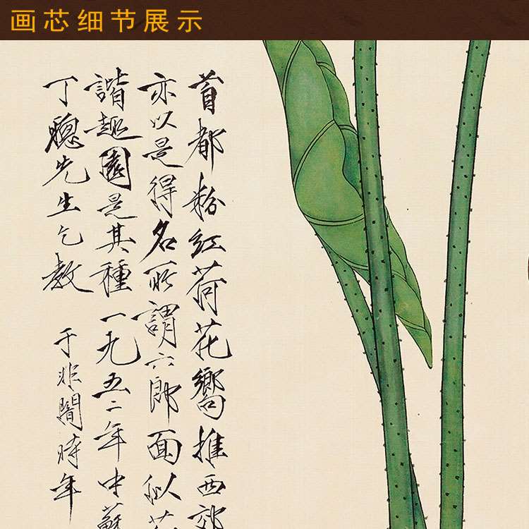 速发荷花工笔画挂画 国画复制品 复古玄关书房客厅装饰画 丝绸卷图片