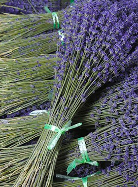 100g dried natural flower bouquets dried natural Lavender fl