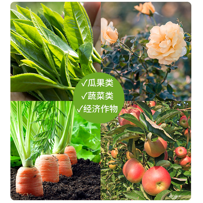 速发螯合钙镁硼铁锌螯合中微量元素水溶肥草莓果树蔬菜叶面肥冲施