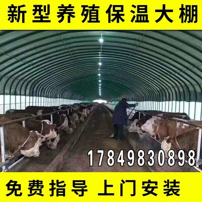 大棚钢管骨架养殖大棚全套养鸡鸭鹅兔猪舍牛棚羊圈椭圆管温室搭建