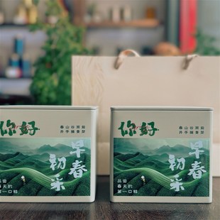 你好春天便携茶叶罐马口铁盒125克茶罐密封简约纯色茶叶铁罐定制