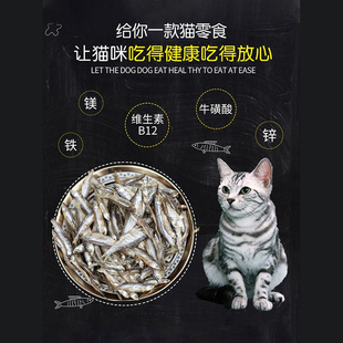 猫零食小鱼干淡水猫粮肉条磨牙成猫幼猫吃 新品 猫咪专用宠物增肥