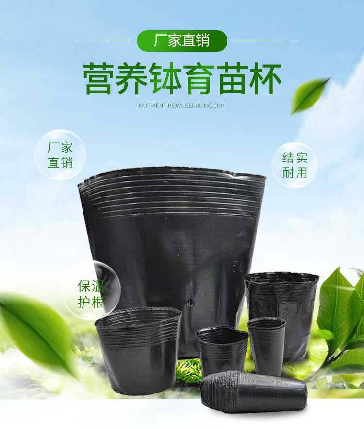 营养钵育苗杯营养袋耐用型v树苗杯黑色塑料营养杯大号育苗盆一次