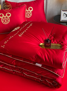 喜被陪u嫁婚庆结婚棉被冬季加厚被芯陪嫁红色结婚被子Y保暖陪嫁被