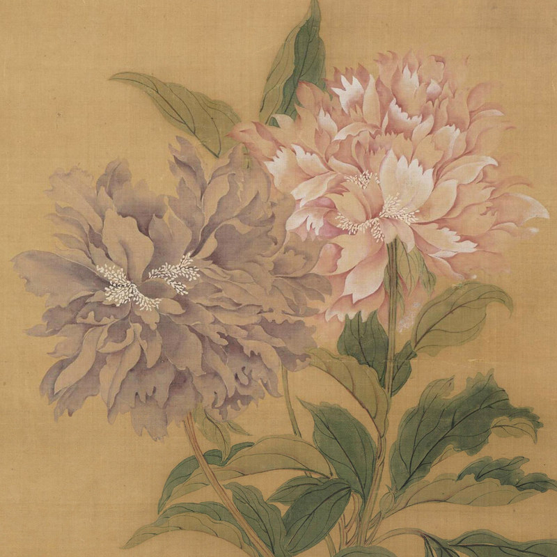 清恽寿平富贵牡丹图清izqfsvmi代名画轴工牡丹图轴笔微喷装裱挂定