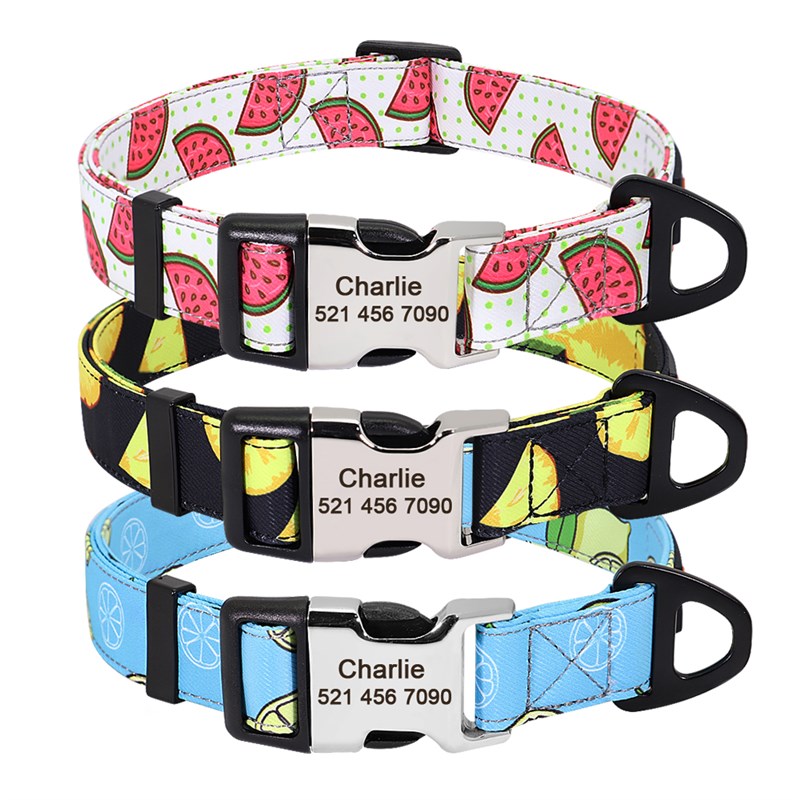 lon Pet Dog Collar PersanolizeT Nameplate IRD dag Accesso 宠物/宠物食品及用品 狗牵引绳 原图主图