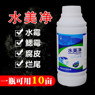 百嵘水美净水产养殖鱼塘用白毛病水霉病烂肉腐皮烂鳃烂尾出血鱼药