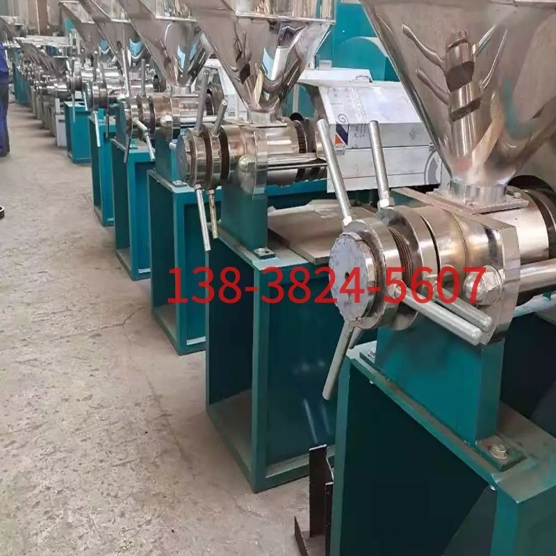 大豆油茶籽螺旋榨l油机商用中型菜籽油葵炸油机家用大型油坊全自
