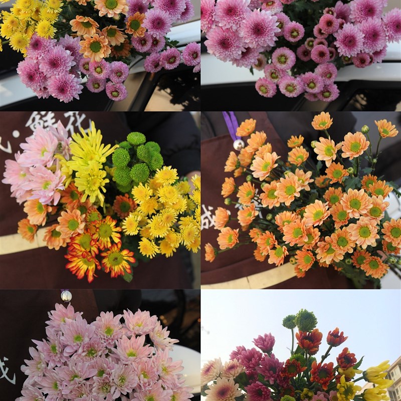 促销鲜花向日葵混搭花束洋牡丹多头玫瑰康乃馨绣球腊梅洋甘菊云南