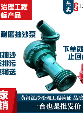 小型吸沙机卧式抽沙泵污水泵泥浆泵清淤砂泵柴油机泥沙吸砂泵现货