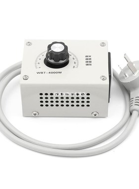 1Pcs Protable WBT 4000W AC 220V Variable Voltage Power Speed
