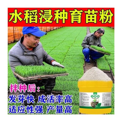 水稻拌种剂催芽快猛发芽育苗生根壮苗专用种衣剂稻种浸种包衣剂